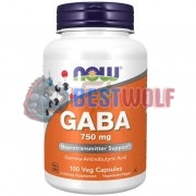 GABA [ГАБА] (750 мг x 100 капс), NOW Foods