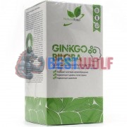 Ginkgo [Гинкго Билоба] (60 капс), NaturalSupp