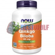 Ginkgo [Гинкго Билоба] (60 мг x 240 капс), NOW Foods