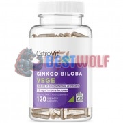 Ginkgo [Гинкго Билоба] (120 мг x 120 капс), OstroVit