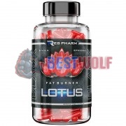 Lotus Black (90 капс), Regeneration Pharm